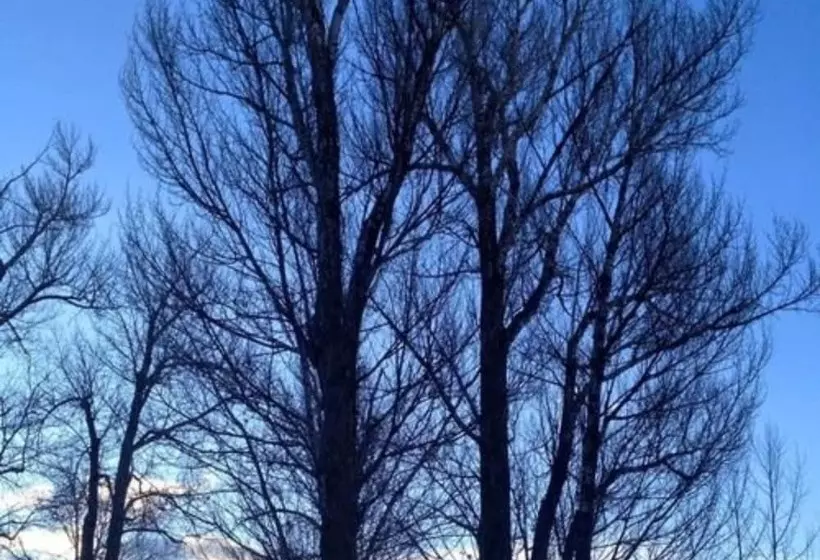 ホテル Inn On The Creek