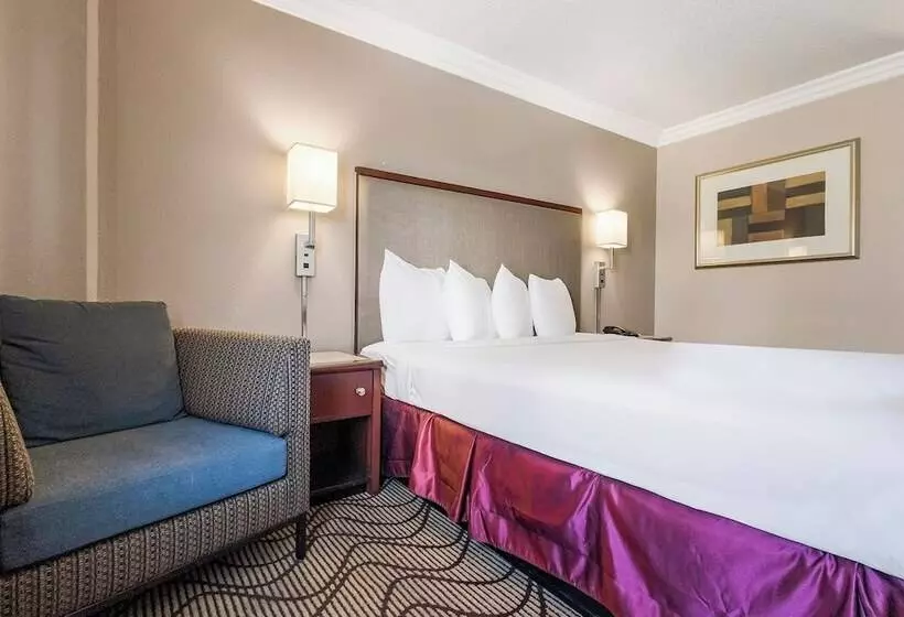 בית מלון כפרי Jack London Inn