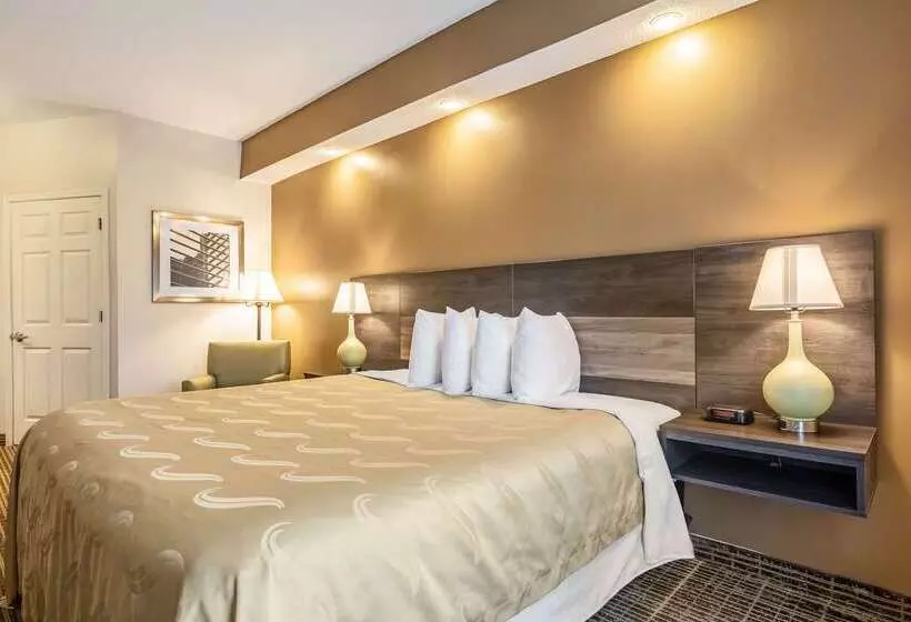 ホテル Quality Inn Rome South