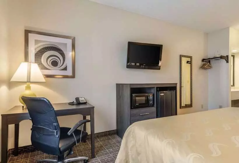 ホテル Quality Inn Rome South