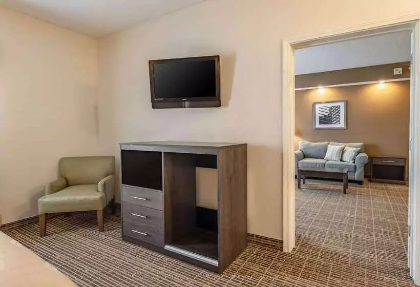 ホテル Quality Inn Rome South