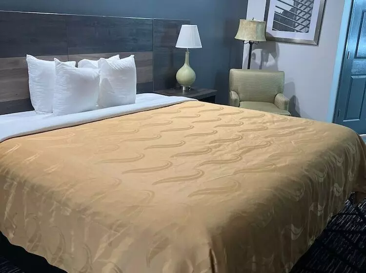 ホテル Quality Inn Rome South