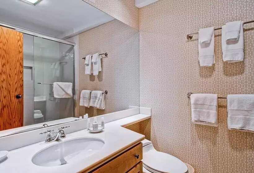 Kiva 433 By East West Hospitality