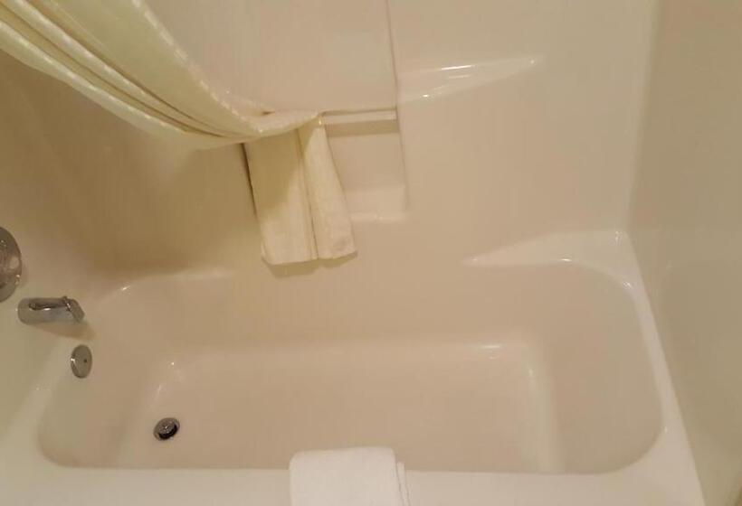 The Kc Motel Show Low