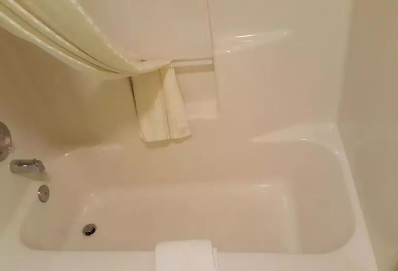 The Kc Motel Show Low