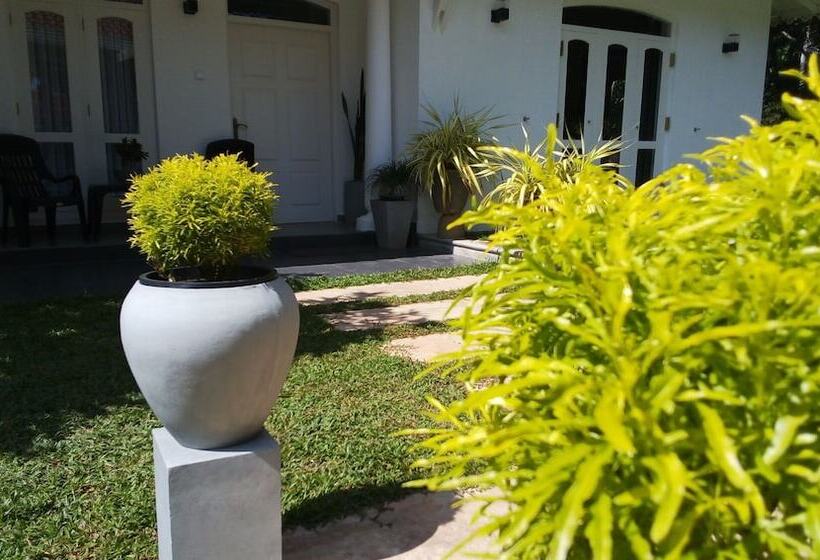 Bed and Breakfast Green Grass Garden