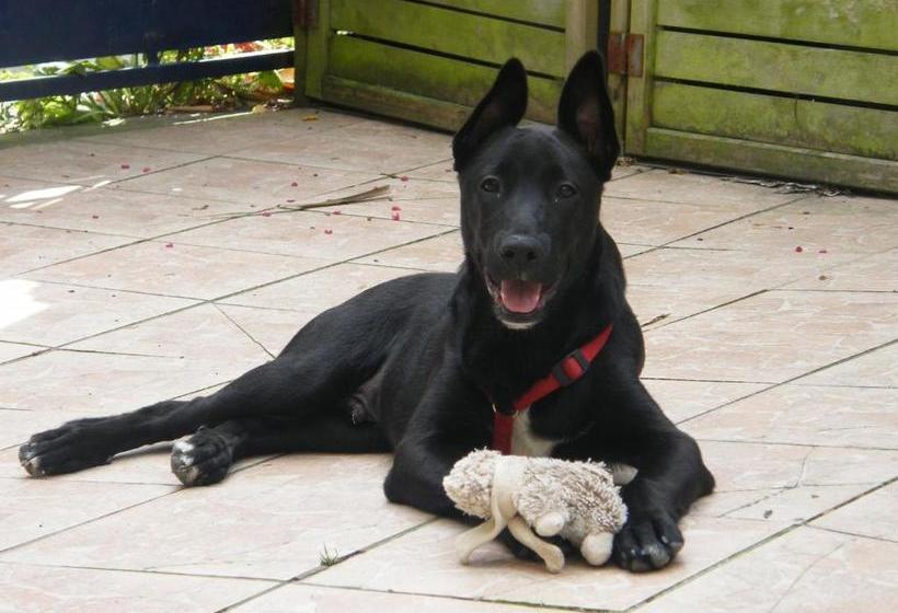 هتل Hôtel De La Gare