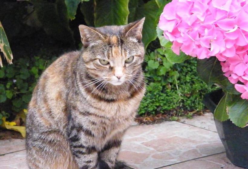 هتل Hôtel De La Gare