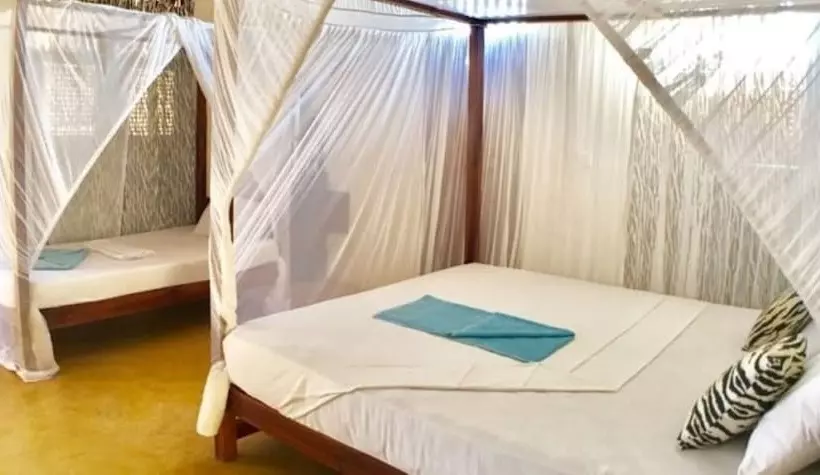 هتل Msafini Mangotop Roof