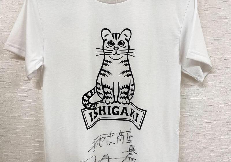 هاستل Guest House Cocode