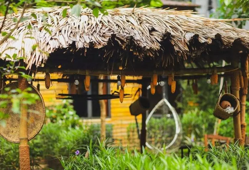 هاستل The Art   Golden Jungle House