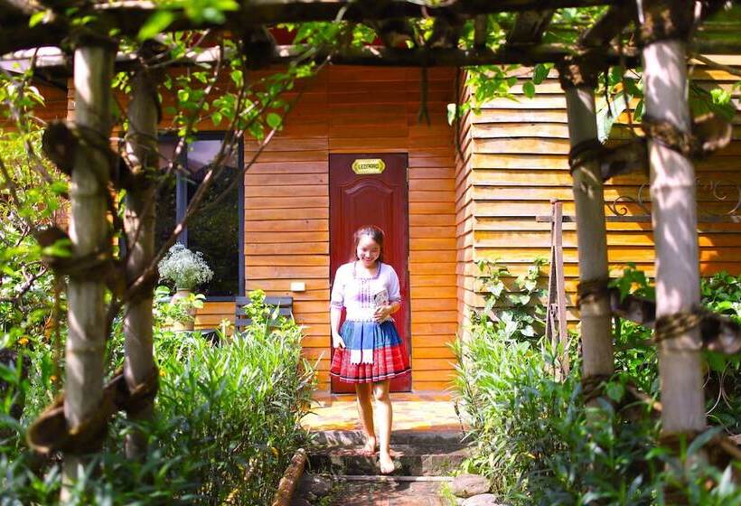 هاستل The Art   Golden Jungle House