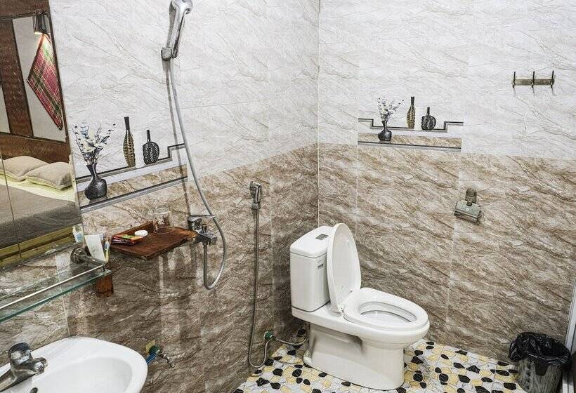 هاستل The Art   Golden Jungle House