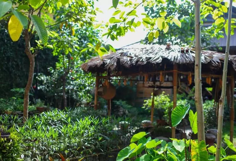 هاستل The Art   Golden Jungle House