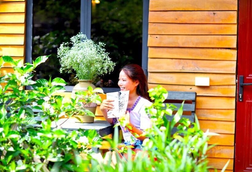 هاستل The Art   Golden Jungle House