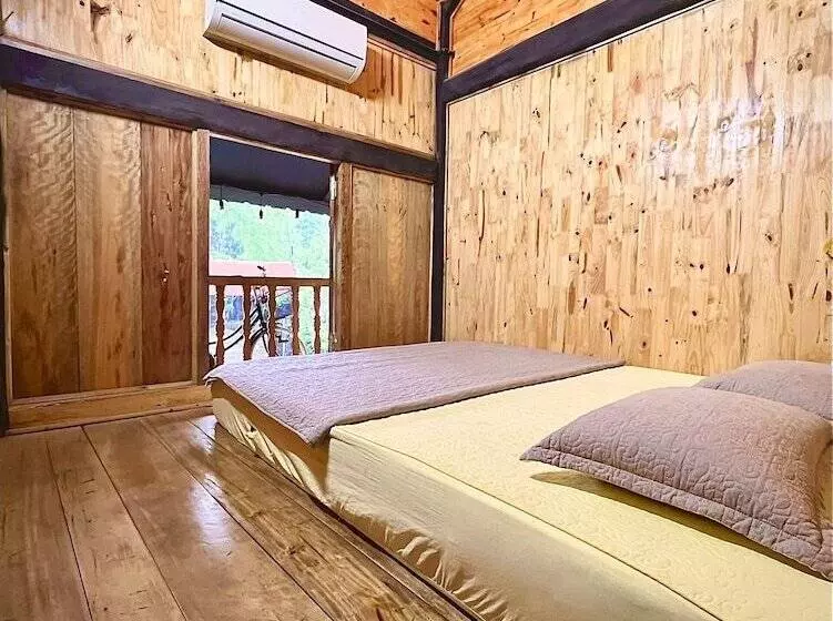 هاستل The Art   Golden Jungle House