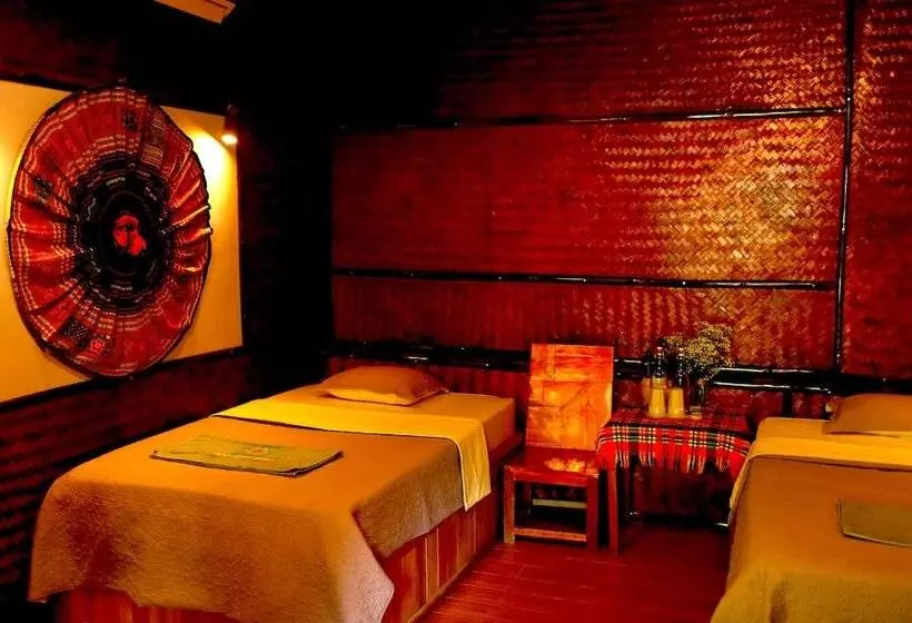 هاستل The Art   Golden Jungle House