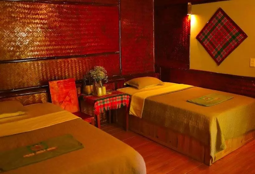 هاستل The Art   Golden Jungle House