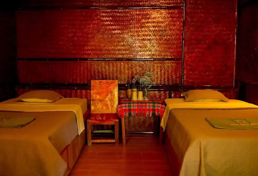 هاستل The Art   Golden Jungle House