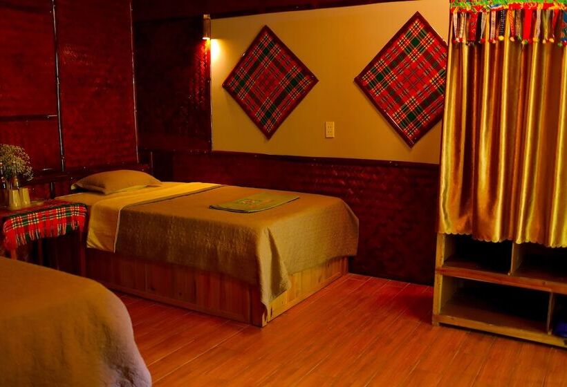 هاستل The Art   Golden Jungle House