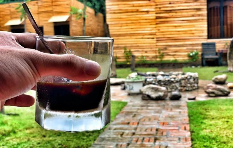 هاستل The Art   Golden Jungle House