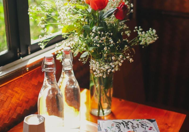 هاستل The Art   Golden Jungle House