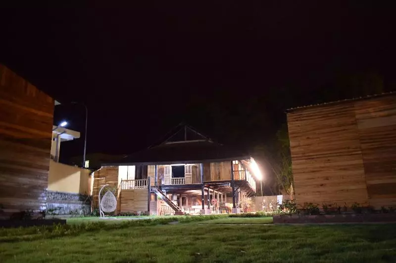 هاستل The Art   Golden Jungle House