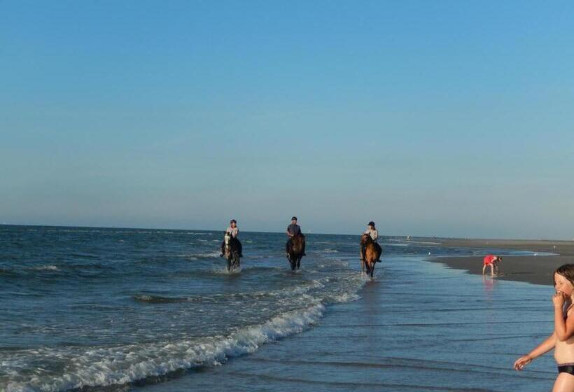 De Cyprian Bed & Breakfast