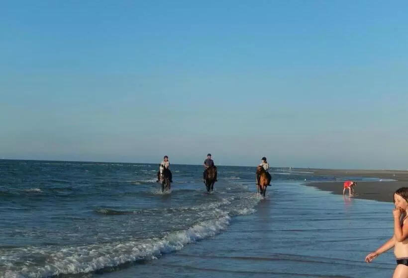 De Cyprian Bed & Breakfast