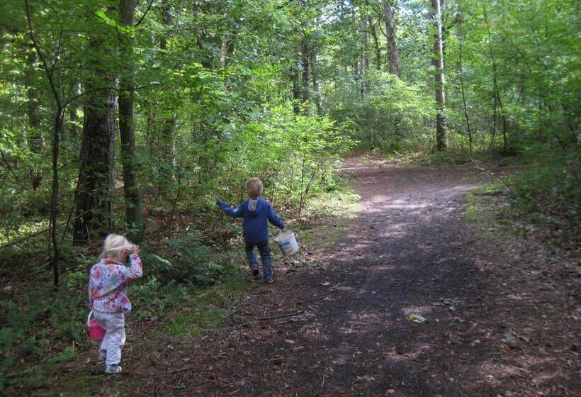 De Cyprian Bed & Breakfast