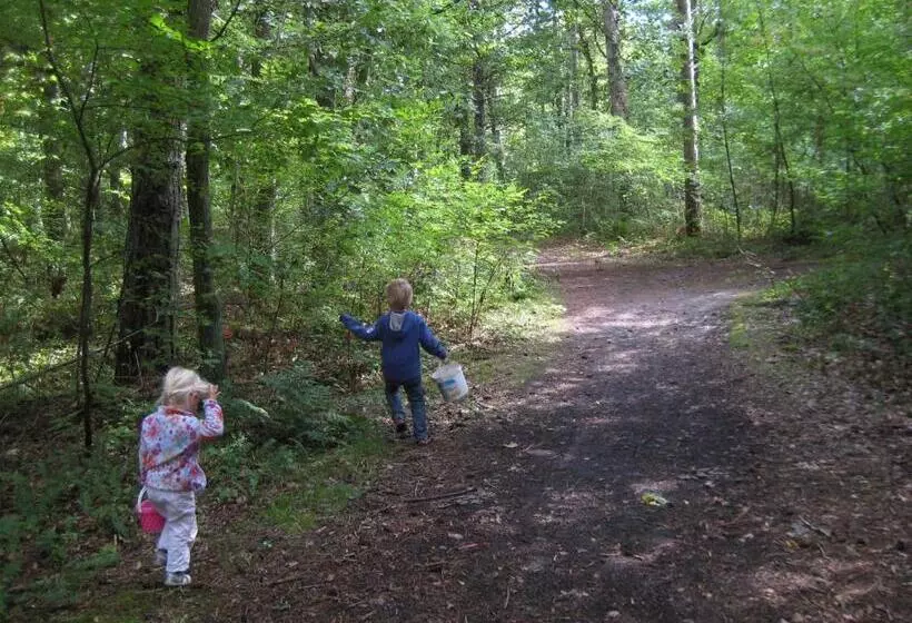 De Cyprian Bed & Breakfast