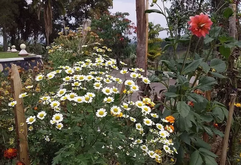 Flagship Piazza Hotel   Hostel