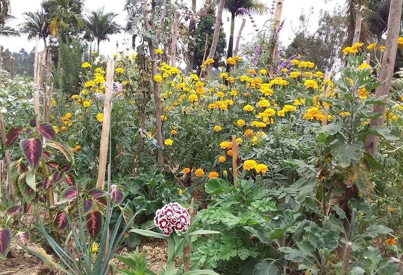 Flagship Piazza Hotel Hostel