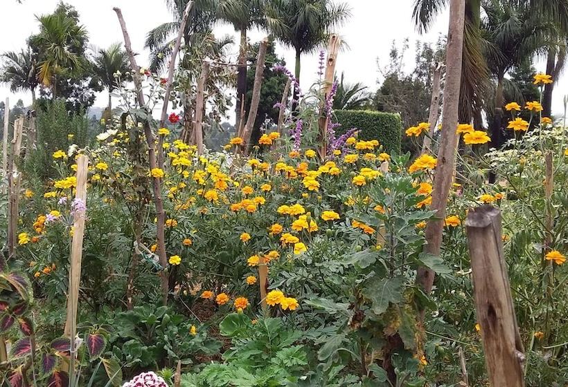 Flagship Piazza Hotel Hostel