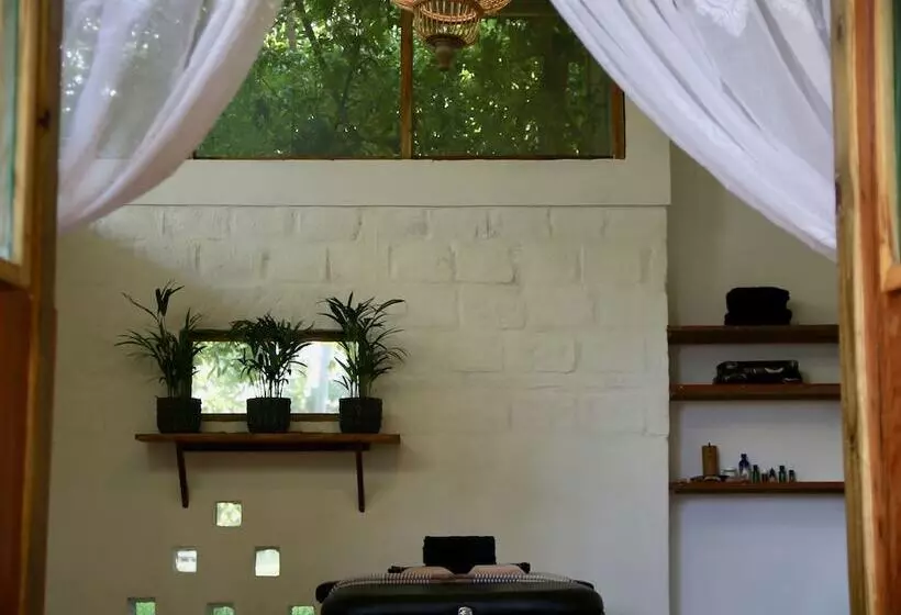 Hotelli Turtle Cove Lodge And Yoga Shala