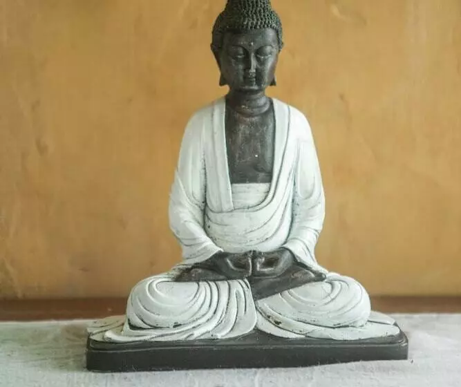 Hotelli Turtle Cove Lodge And Yoga Shala