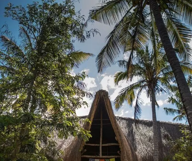 Hotelli Turtle Cove Lodge And Yoga Shala