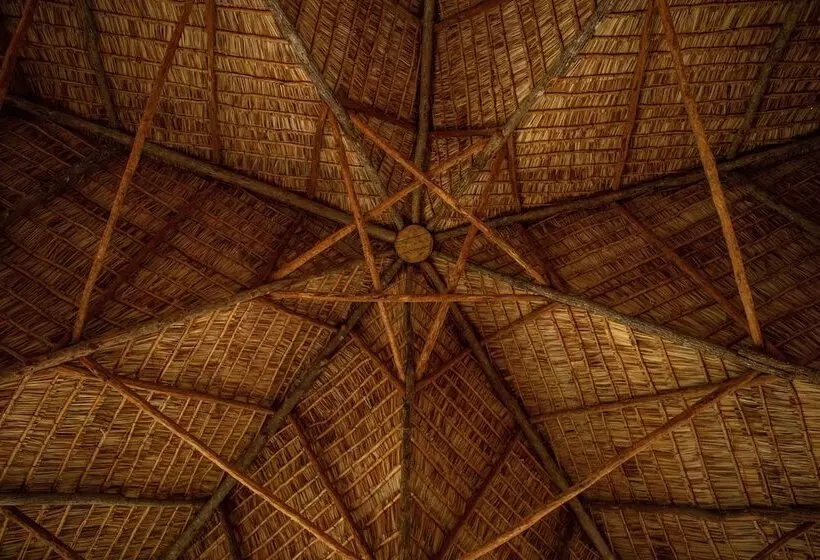 Hotelli Turtle Cove Lodge And Yoga Shala