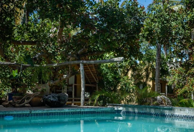 ホテル Turtle Cove Lodge And Yoga Shala