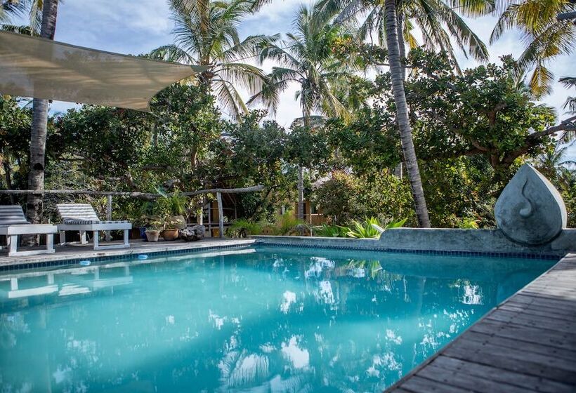 ホテル Turtle Cove Lodge And Yoga Shala