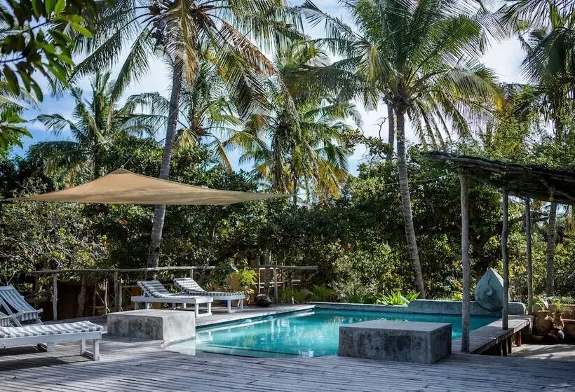 Hotelli Turtle Cove Lodge And Yoga Shala