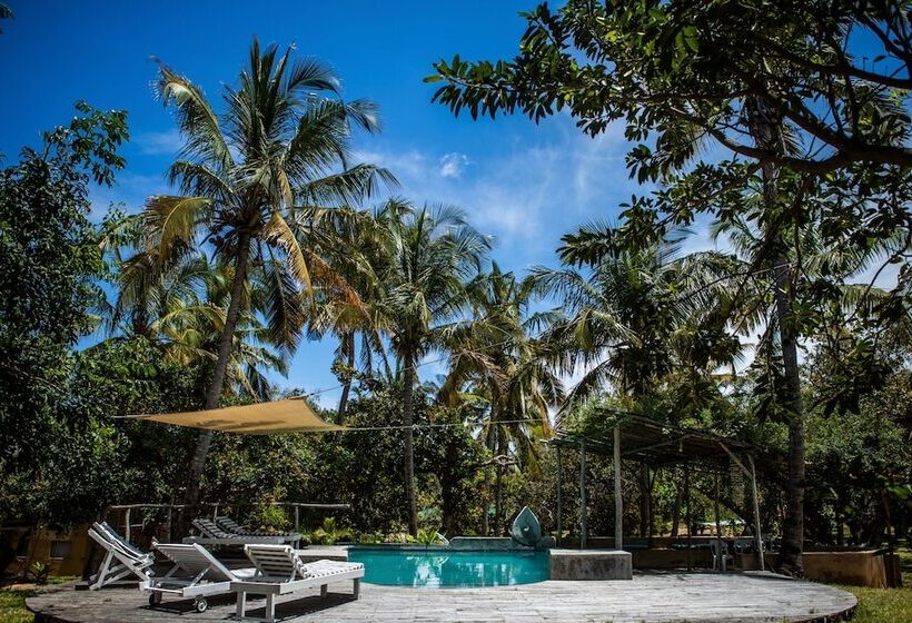 ホテル Turtle Cove Lodge And Yoga Shala