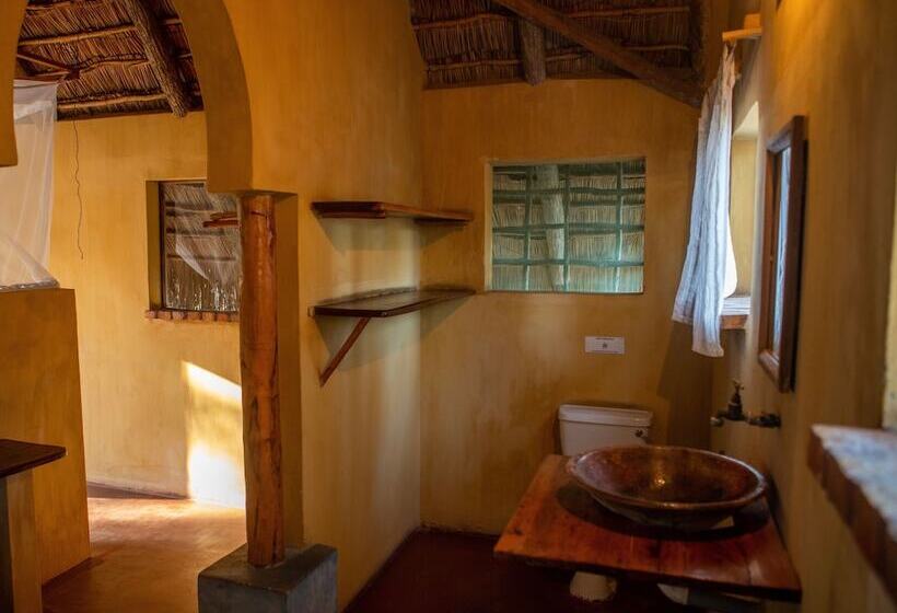 ホテル Turtle Cove Lodge And Yoga Shala