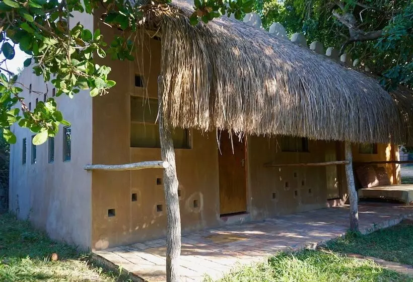 Hotelli Turtle Cove Lodge And Yoga Shala