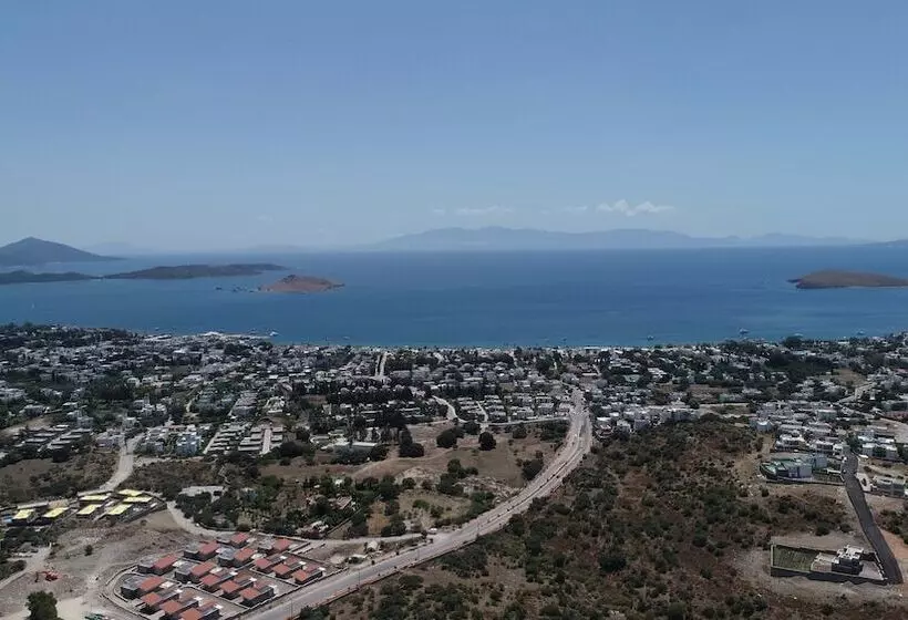 Palmiye Tepesi
