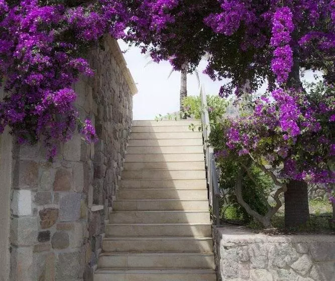 Palmiye Tepesi