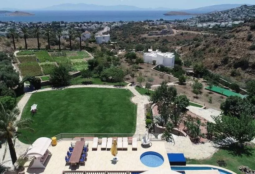 Palmiye Tepesi