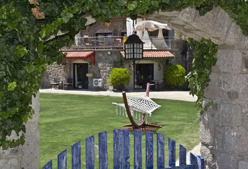 Palmiye Tepesi