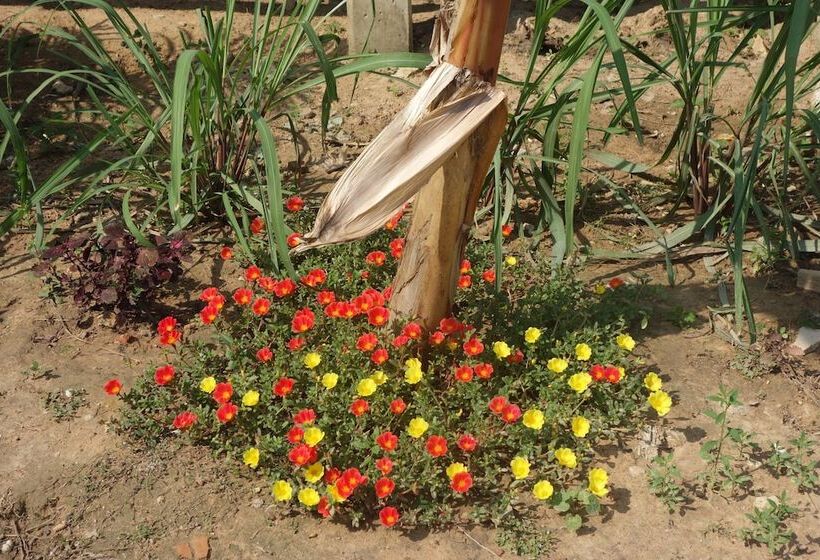 پانسیون Authentic Cambodian Angkor Cottage