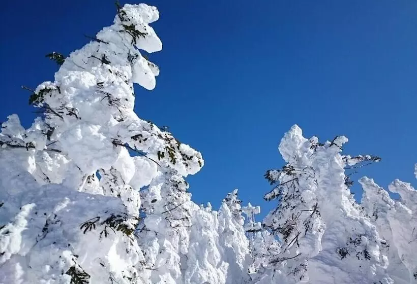 هتل Shiga Kogen Olympic
